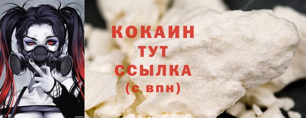 шишки Абинск
