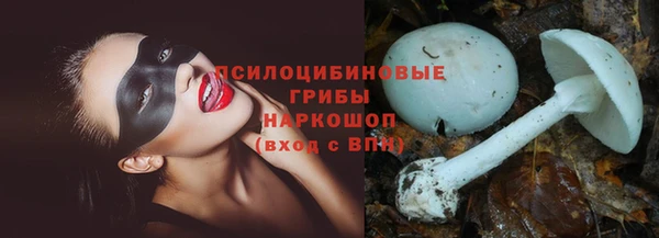дмт Алексеевка