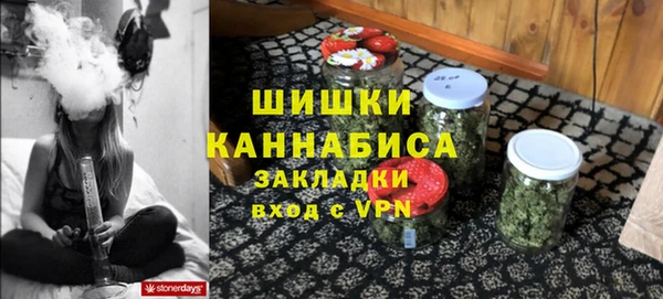 шишки Абинск