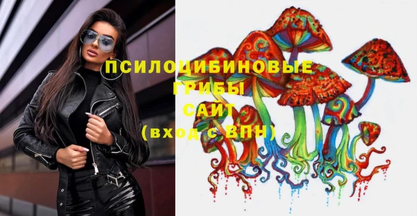 шишки Абинск