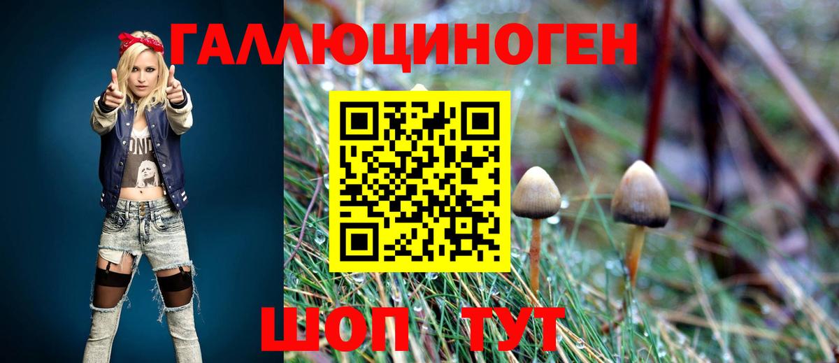Псилоцибиновые грибы прущие грибы Сургут